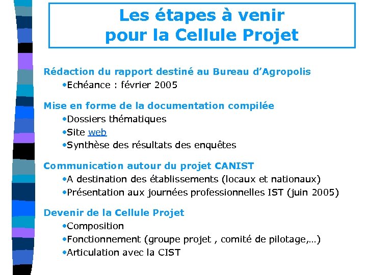 Les étapes à venir pour la Cellule Projet Rédaction du rapport destiné au Bureau