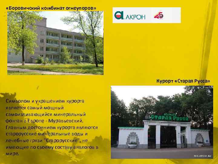  «Боровичский комбинат огнеупоров» Курорт «Старая Русса» Символом и украшением курорта является самый мощный