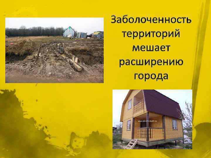 Заболоченность территорий мешает расширению города 