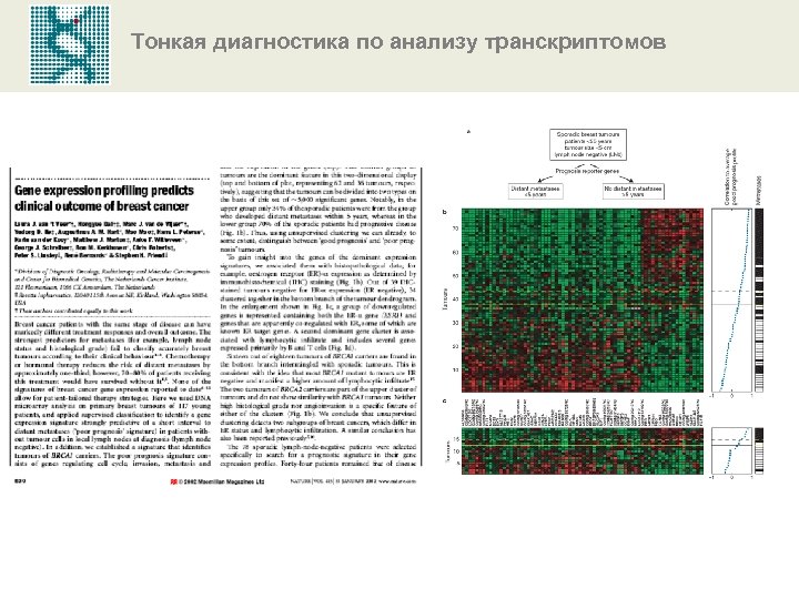 Тонкая диагностика по анализу транскриптомов 