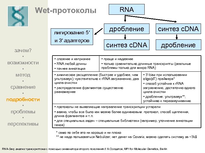 Wet-протоколы лигирование 5′ и 3′ адаптеров зачем? • возможности • метод • сравнение •