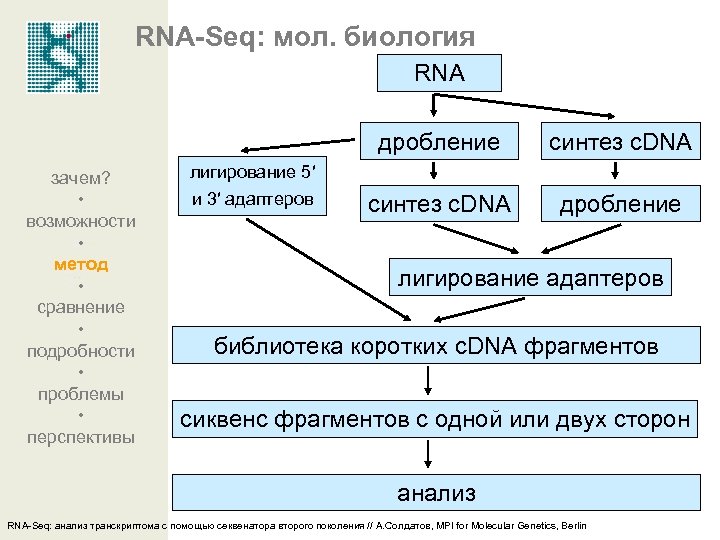 RNA-Seq: мол. биология RNA дробление зачем? • возможности • метод • сравнение • подробности