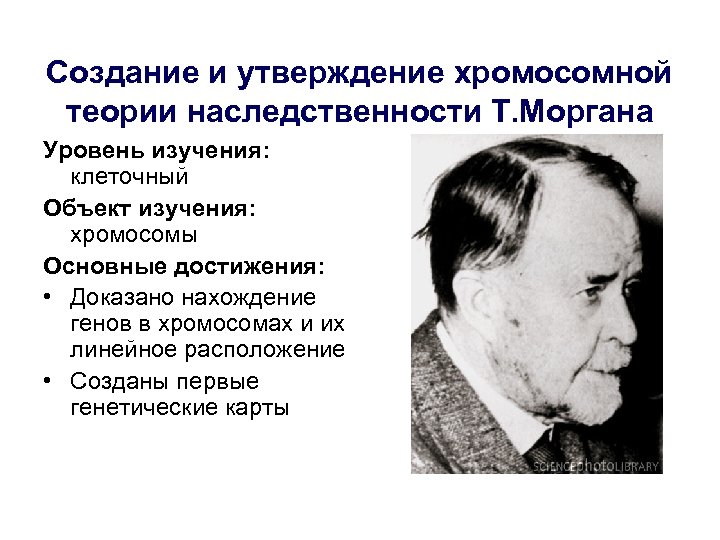 Создание и утверждение хромосомной теории наследственности Т. Моргана Уровень изучения: клеточный Объект изучения: хромосомы