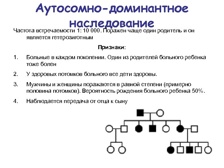 Особенности аутосомно доминантного варианта наследования