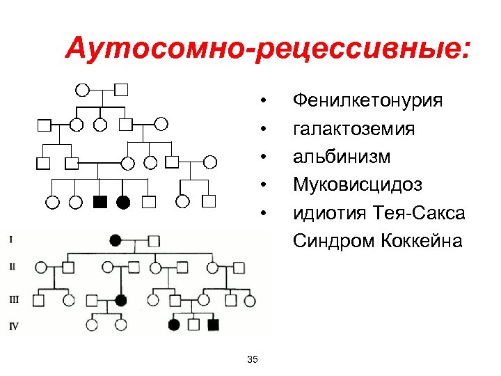 Определение наследования альбинизма в поколениях людей