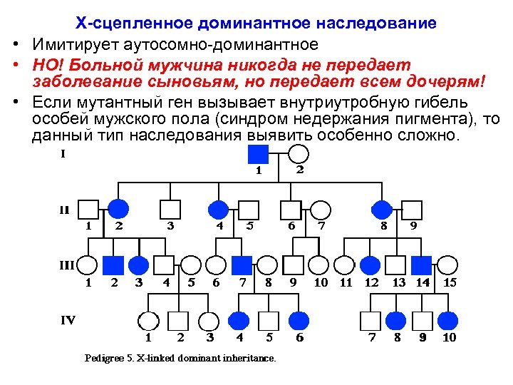 Аутосомно доминантные наследственные заболевания