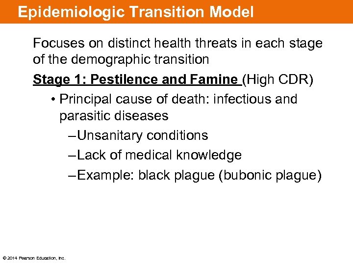 Epidemiologic Transition Model Focuses on distinct health threats in each stage of the demographic