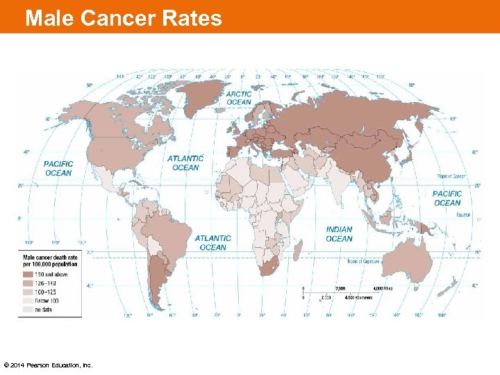 Male Cancer Rates © 2014 Pearson Education, Inc. 