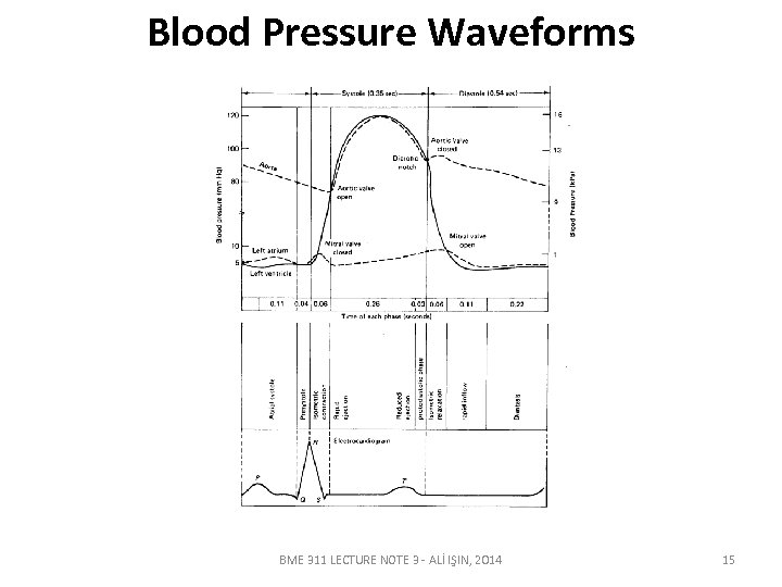 Blood Pressure Waveforms BME 311 LECTURE NOTE 3 - ALİ IŞIN, 2014 15 