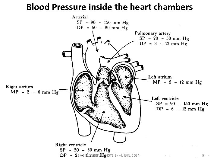 Blood Pressure inside the heart chambers BME 311 LECTURE NOTE 3 - ALİ IŞIN,