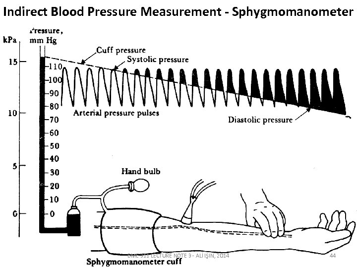 Indirect Blood Pressure Measurement - Sphygmomanometer BME 311 LECTURE NOTE 3 - ALİ IŞIN,