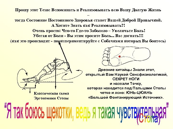 Прошу этот Тезис Вспоминать и Реализовывать всю Вашу Долгую Жизнь – тогда Состояние Постоянного