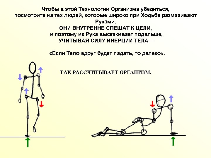 Чтобы в этой Технологии Организма убедиться, посмотрите на тех людей, которые широко при Ходьбе