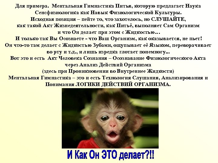 Для примера. Ментальная Гимнастика Питья, которую предлагает Наука Сенсфизиологика как Навык Физиологической Культуры. Исходная