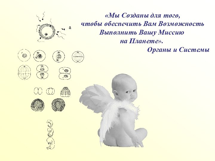  «Мы Созданы для того, чтобы обеспечить Вам Возможность Выполнить Вашу Миссию на Планете»