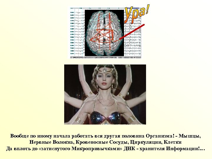 Вообще по иному начала работать вся другая половина Организма! - Мышцы, Нервные Волокна, Кровеносные