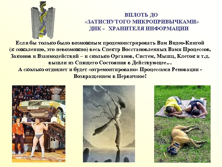 ВПЛОТЬ ДО «ЗАТИСНУТОГО МИКРОПРИВЫЧКАМИ» ДНК - ХРАНИТЕЛЯ ИНФОРМАЦИИ Если бы только было возможным продемонстрировать