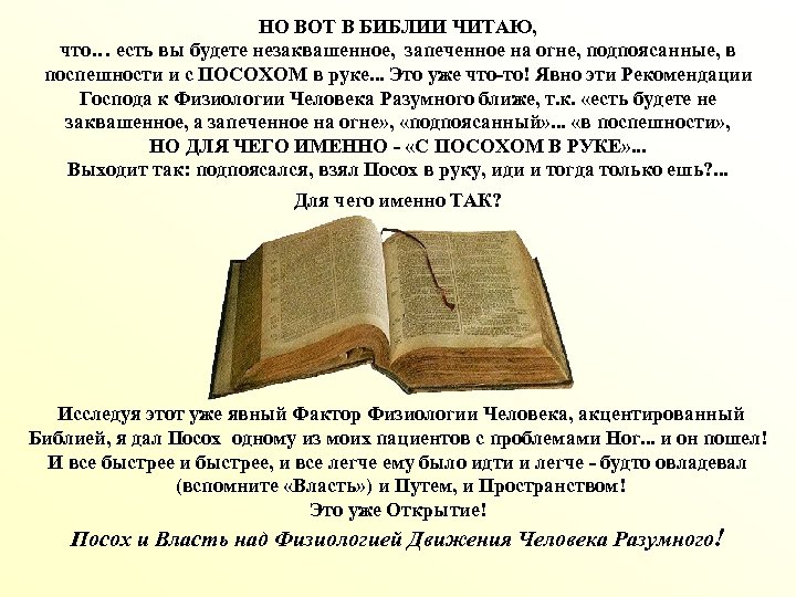Читать библию на русском языке