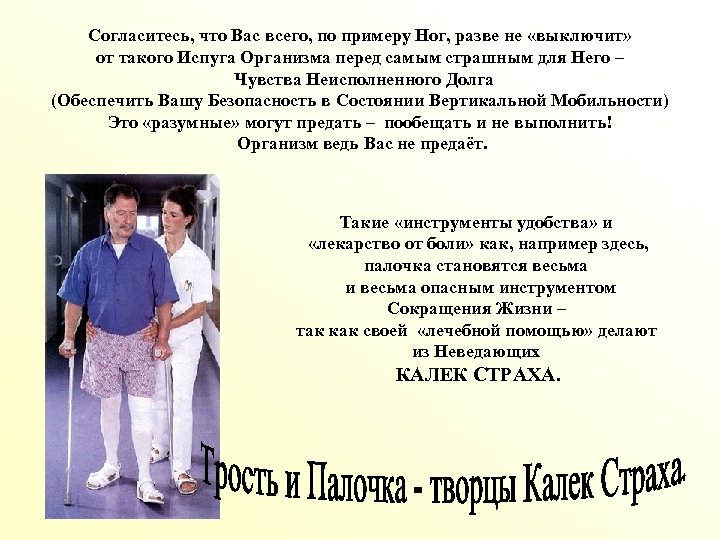 Согласитесь, что Вас всего, по примеру Ног, разве не «выключит» от такого Испуга Организма