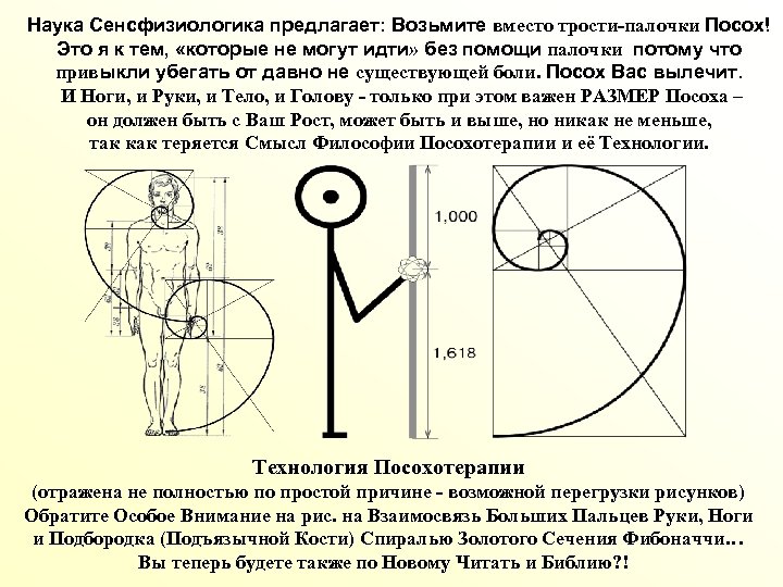 Наука Сенсфизиологика предлагает: Возьмите вместо трости-палочки Посох! Это я к тем, «которые не могут
