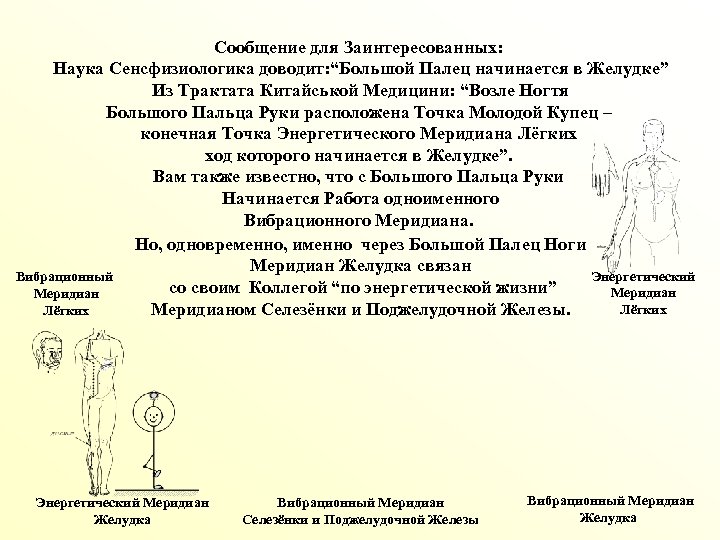 Сообщение для Заинтересованных: Наука Сенсфизиологика доводит: “Большой Палец начинается в Желудке” Из Трактата Китайськой