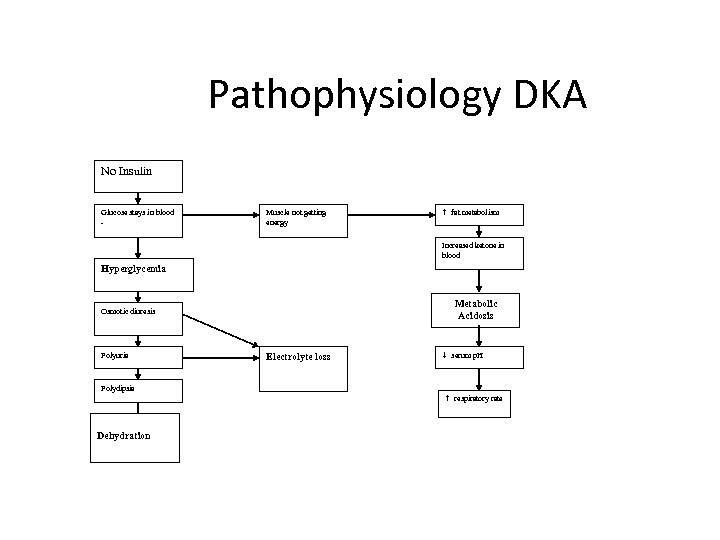 Pathophysiology DKA No Insulin Glucose stays in blood - Muscle not getting energy h