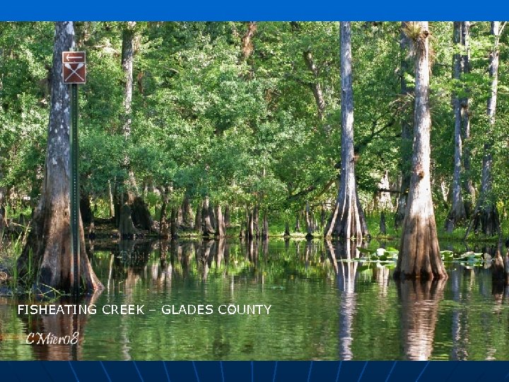 FISHEATING CREEK – GLADES COUNTY 