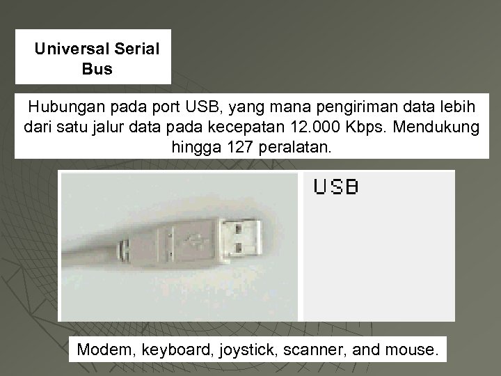 Universal Serial Bus Hubungan pada port USB, yang mana pengiriman data lebih dari satu