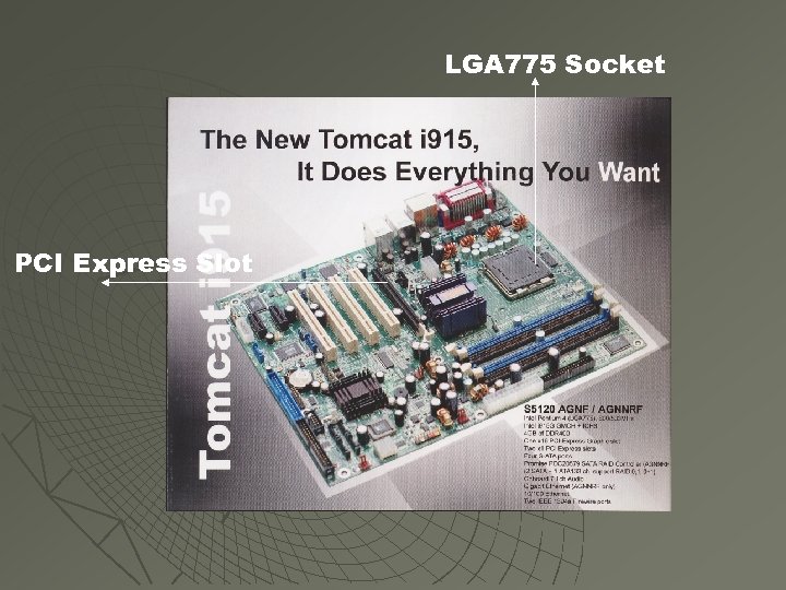 LGA 775 Socket PCI Express Slot 