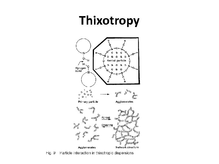 Thixotropy 