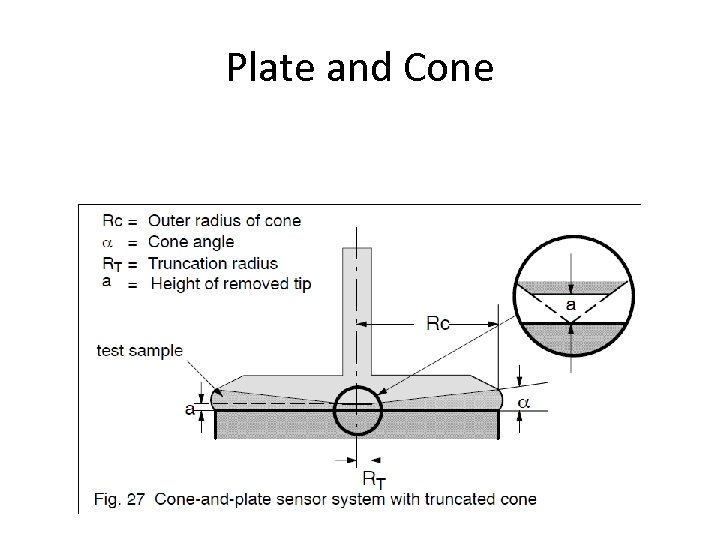 Plate and Cone 