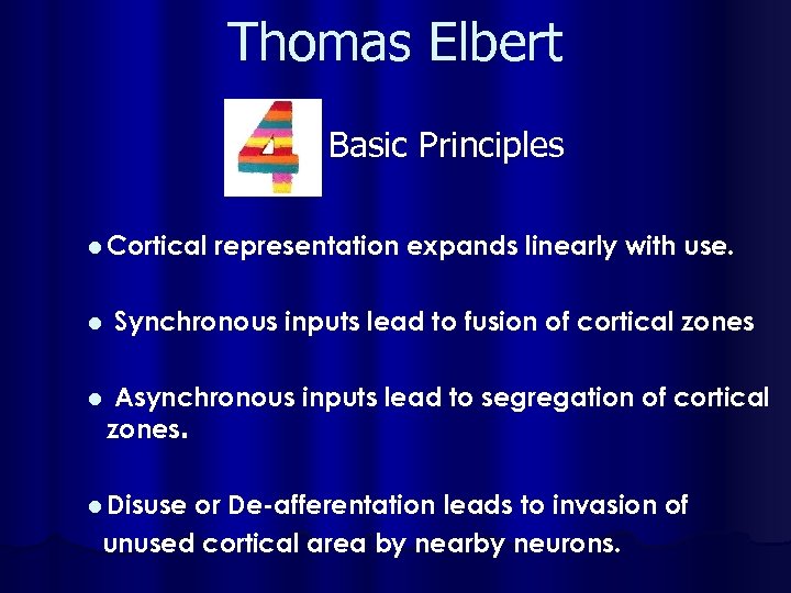 Thomas Elbert Basic Principles l Cortical representation expands linearly with use. l Synchronous inputs