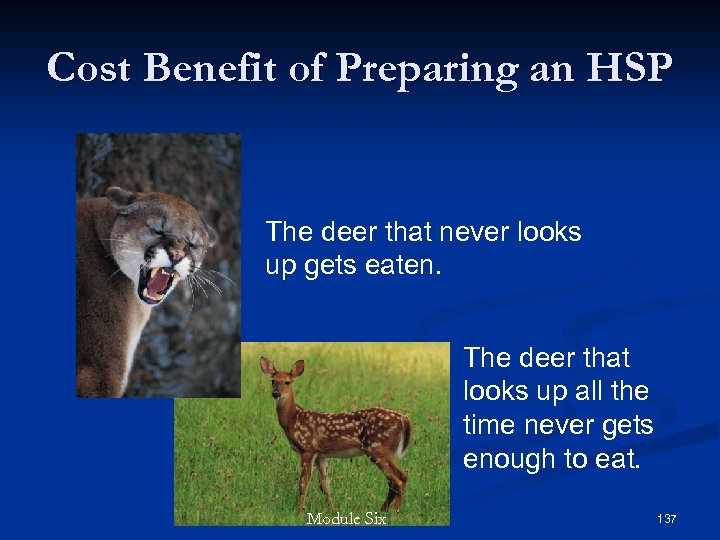 Cost Benefit of Preparing an HSP The deer that never looks up gets eaten.