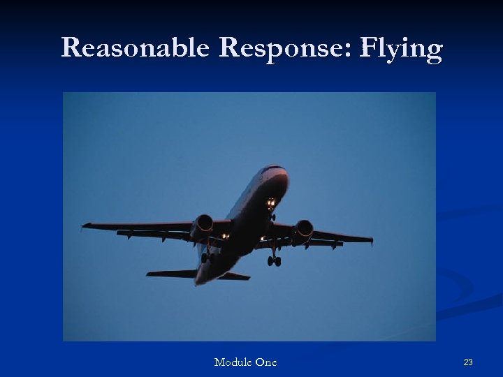 Reasonable Response: Flying Module One 23 