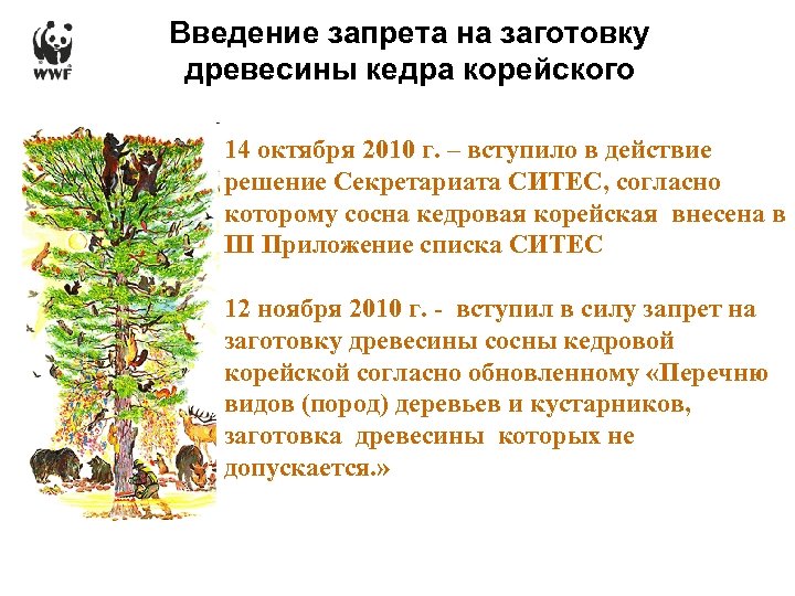 Введение запрета на заготовку древесины кедра корейского 14 октября 2010 г. – вступило в