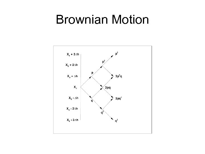 Brownian Motion 