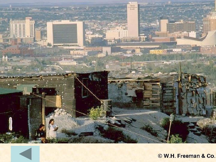 © W. H. Freeman & Co. 