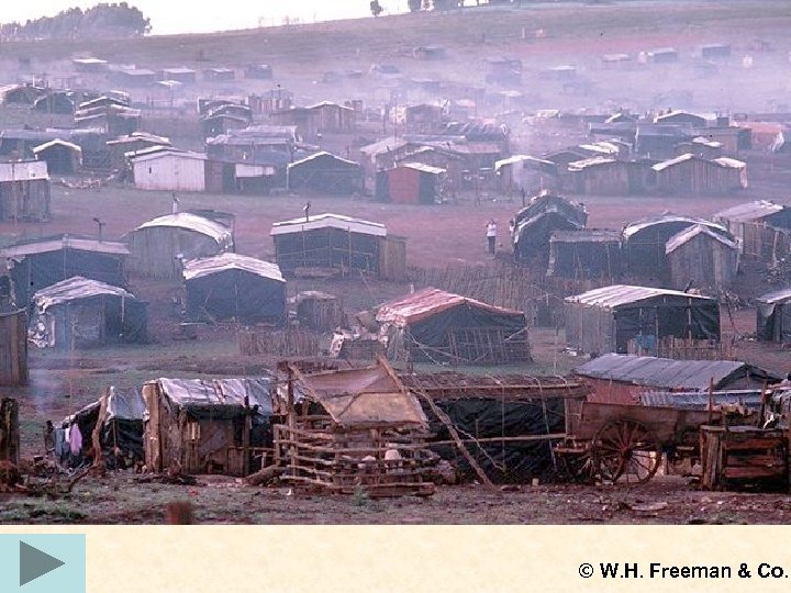 © W. H. Freeman & Co. 