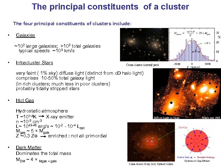 The principal constituents of a cluster The four principal constituents of clusters include: •