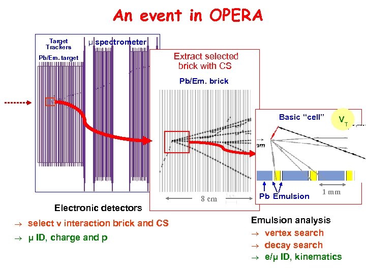 An event in OPERA Target Trackers μ spectrometer Pb/Em. target Extract selected brick with