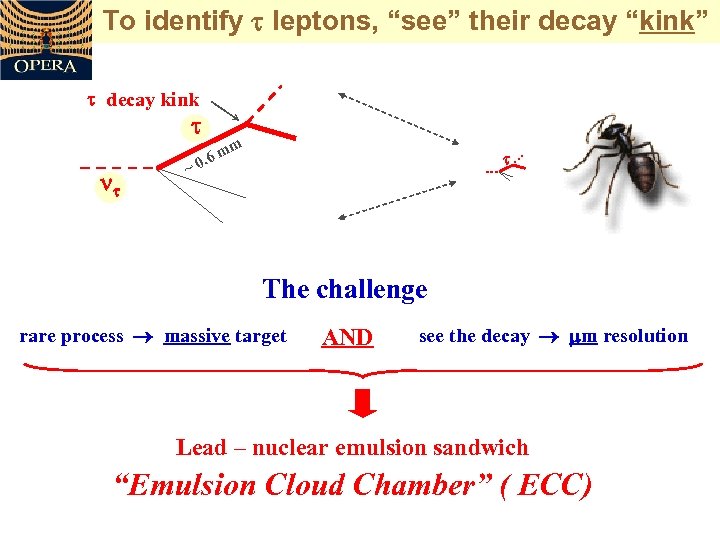 To identify leptons, “see” their decay “kink” decay kink ~ m m 0. 6