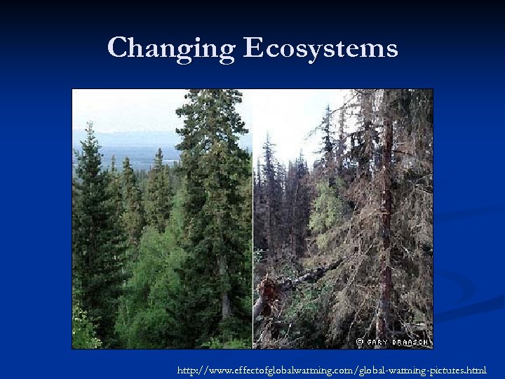 Changing Ecosystems http: //www. effectofglobalwarming. com/global-warming-pictures. html 