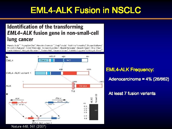 EML 4 -ALK Fusion in NSCLC EML 4 -ALK Frequency: Adenocarcinoma = 4% (26/662)