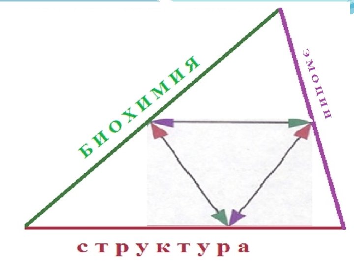 Учитывая триединый подход к здоровью, предлагаем рассмотреть данные состояния не только с остеопатической, но