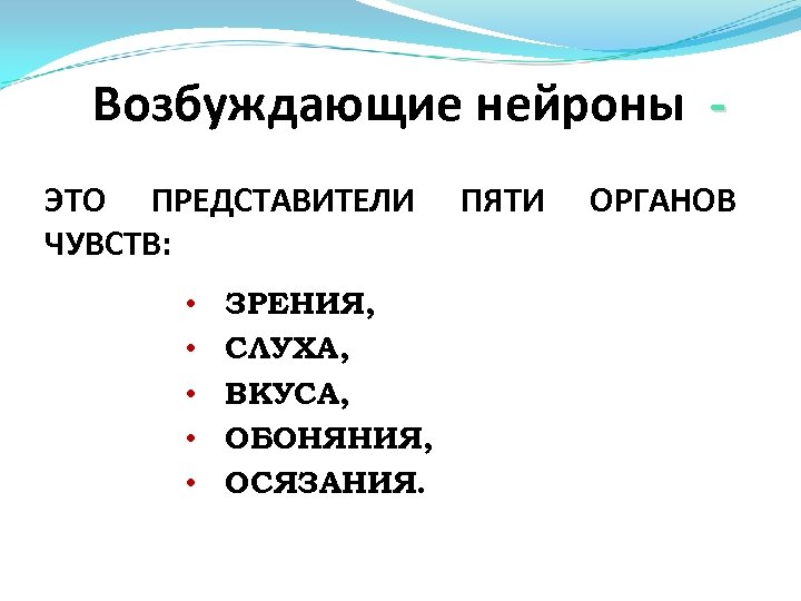 Возбуждающие нейроны ЭТО ПРЕДСТАВИТЕЛИ ЧУВСТВ: • • • ЗРЕНИЯ, СЛУХА, ВКУСА, ОБОНЯНИЯ, ОСЯЗАНИЯ. ПЯТИ