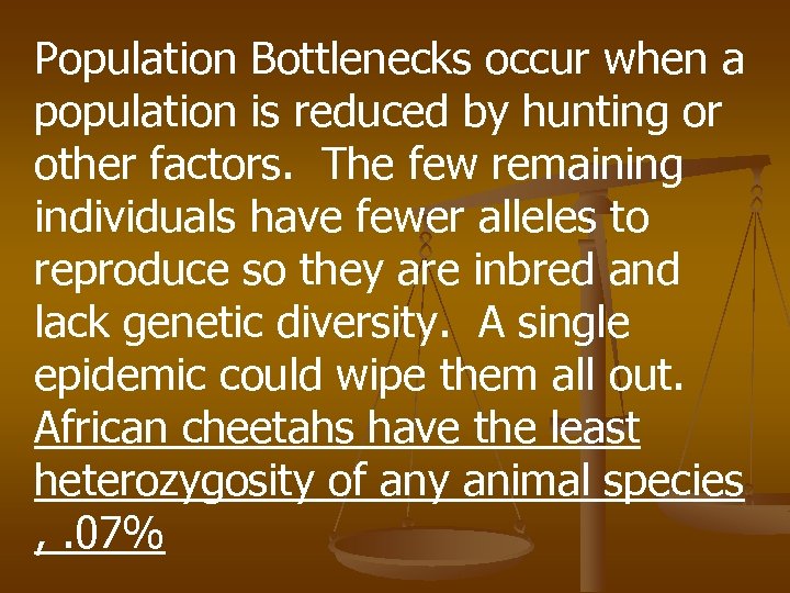 Population Bottlenecks occur when a population is reduced by hunting or other factors. The