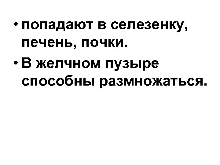 • попадают в селезенку, печень, почки. • В желчном пузыре способны размножаться. 