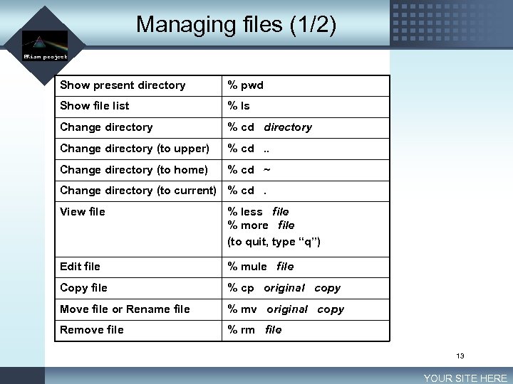 Managing files (1/2) LOGO PRism project Show present directory % pwd Show file list