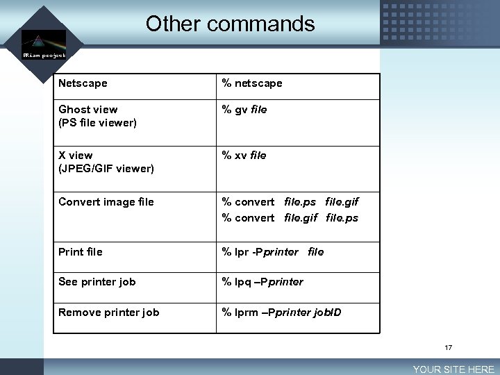 Other commands LOGO PRism project Netscape % netscape Ghost view (PS file viewer) %
