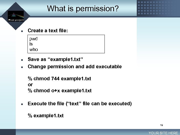 What is permission? LOGO PRism project n Create a text file: pwd ls who